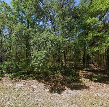0.68 Acres of Residential Land for Sale in Dunnellon, Florida