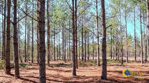 111 Acres of Recreational Land for Sale in Westville, South Carolina