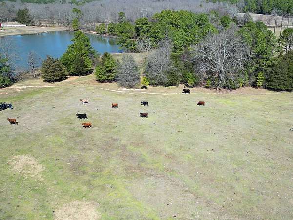 130 Acres of Land for Sale in Antlers, Oklahoma
