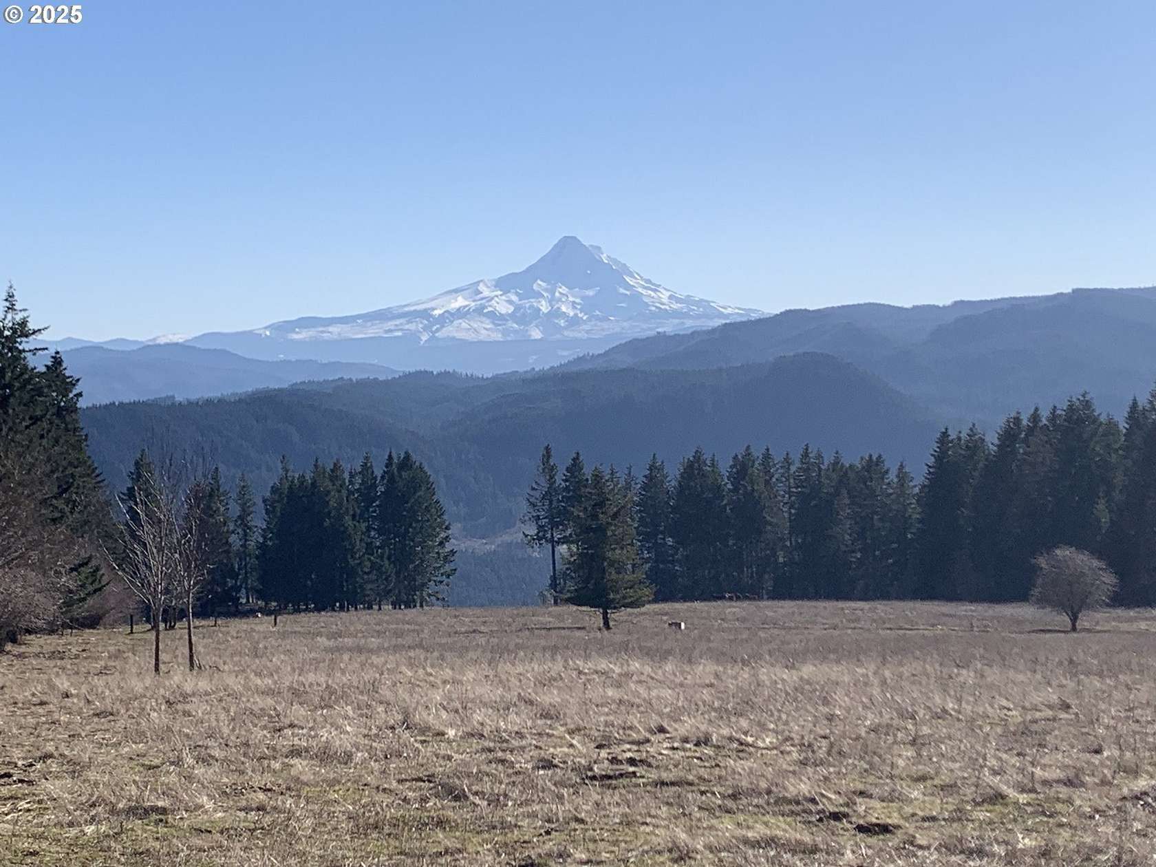 20 Acres of Agricultural Land for Sale in Underwood, Washington