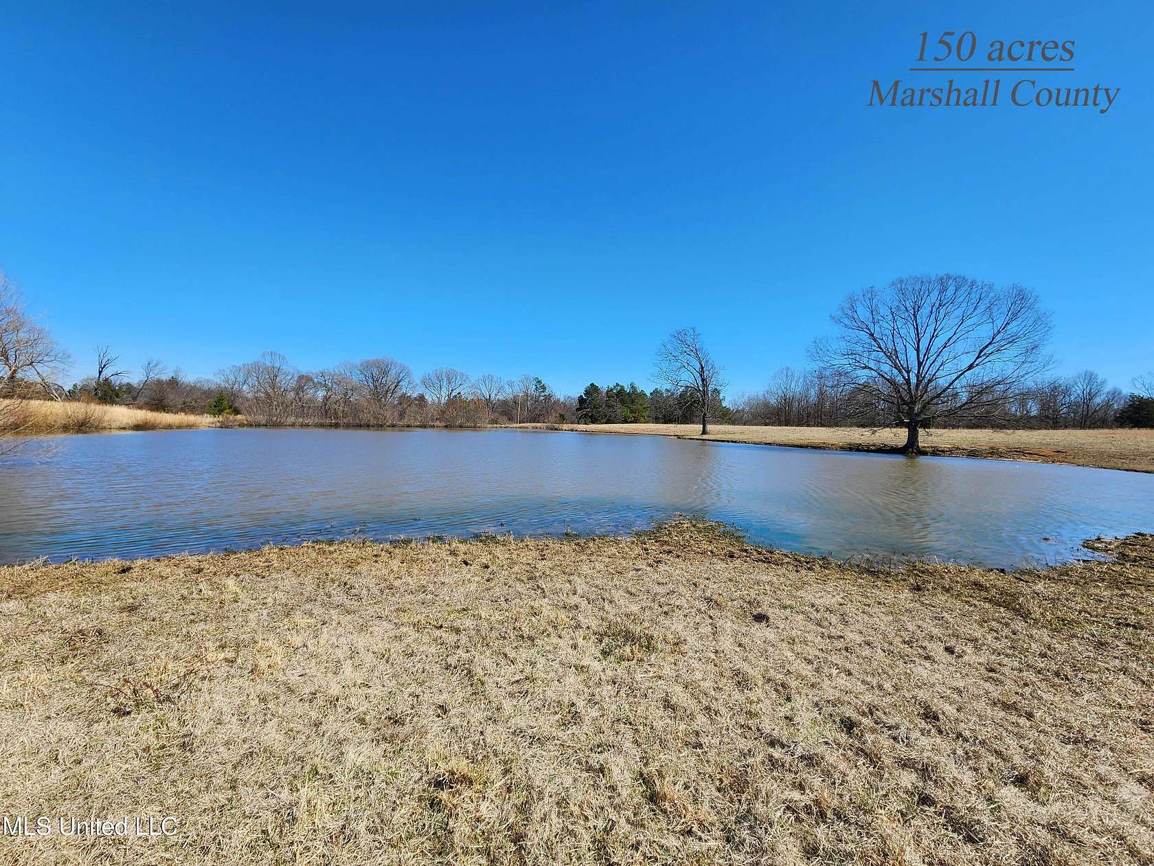 153 Acres of Land for Sale in Holly Springs, Mississippi