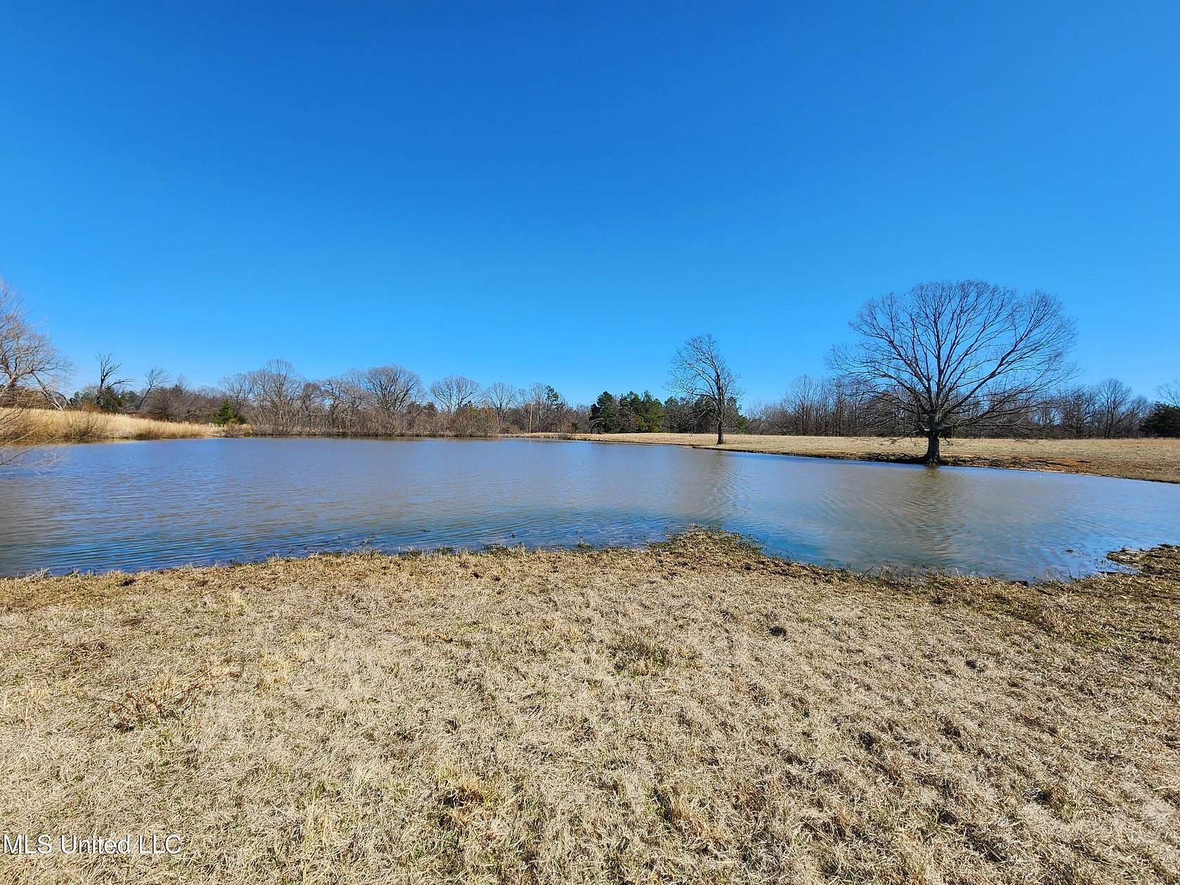 153 Acres of Land for Sale in Holly Springs, Mississippi