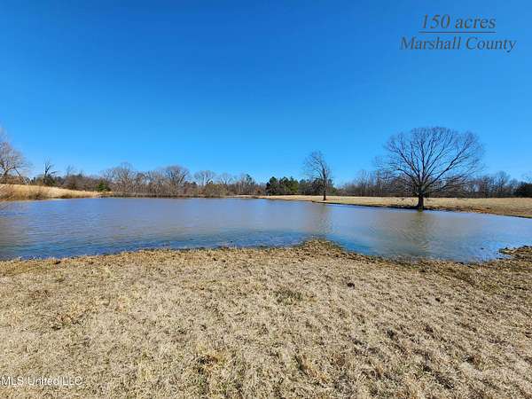 153 Acres of Land for Sale in Holly Springs, Mississippi