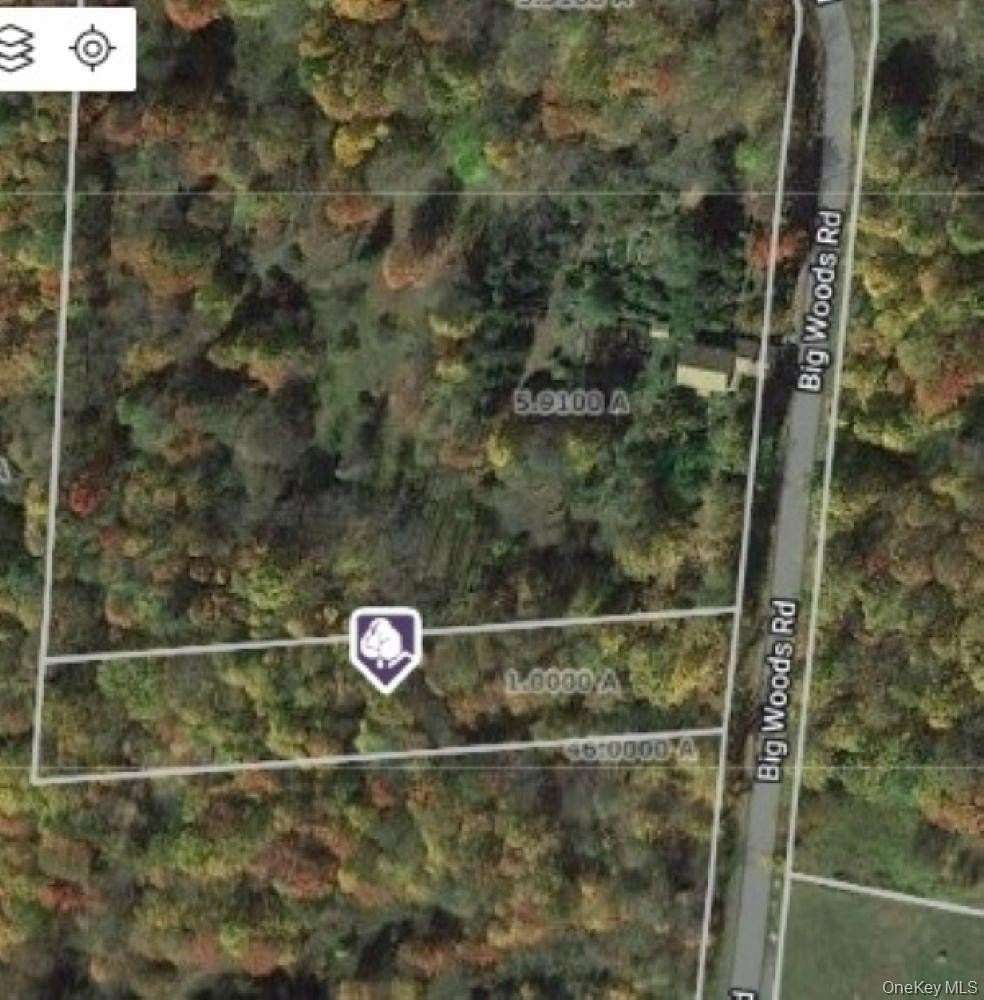 1 Acre of Residential Land for Sale in Harris, New York