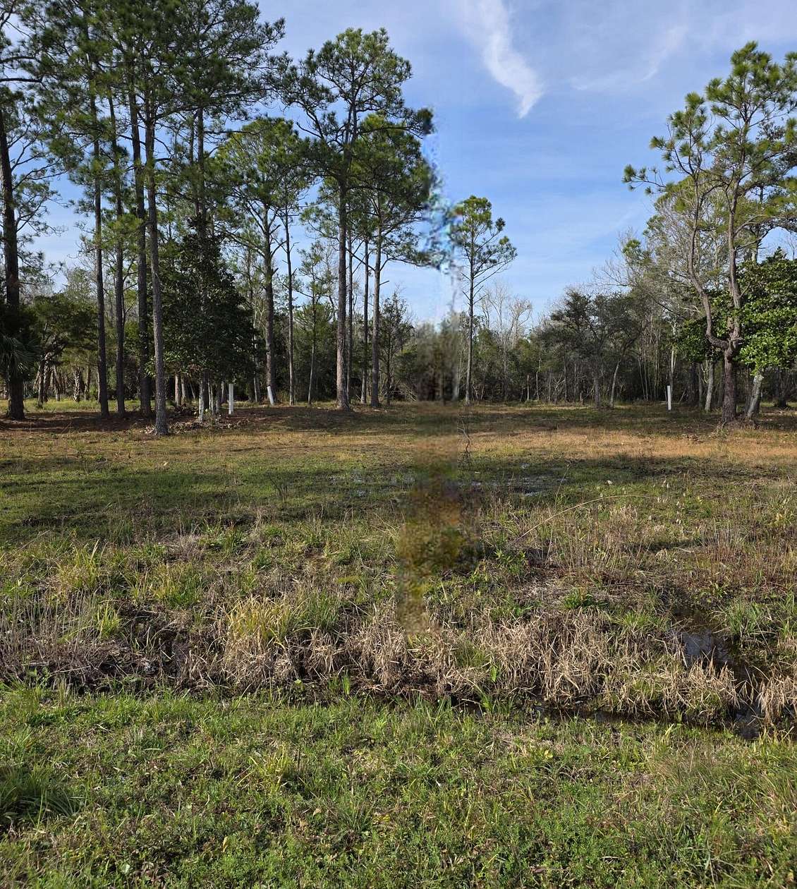 0.36 Acres of Residential Land for Sale in Freeport, Florida