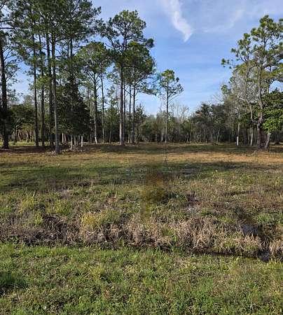 0.36 Acres of Residential Land for Sale in Freeport, Florida