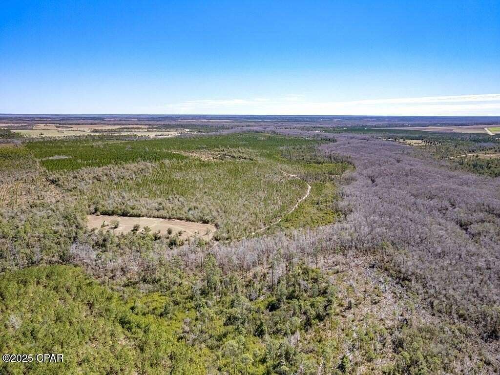 336 Acres of Recreational Land for Sale in Wewahitchka, Florida