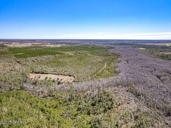 336 Acres of Recreational Land for Sale in Wewahitchka, Florida
