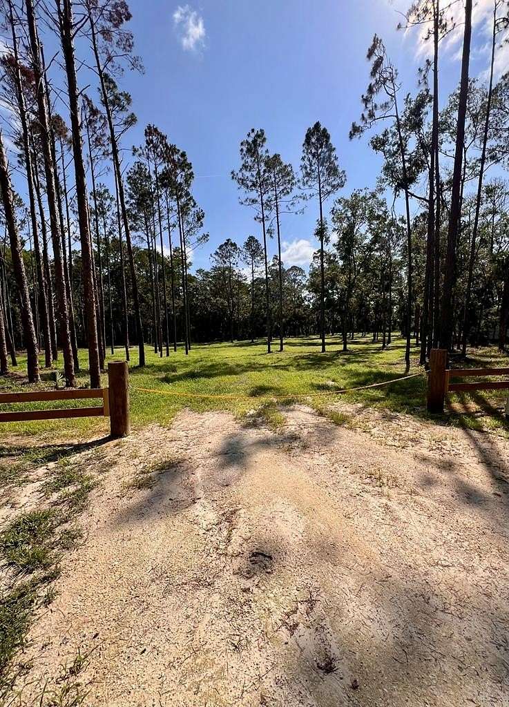 2.32 Acres of Residential Land for Sale in Steinhatchee, Florida