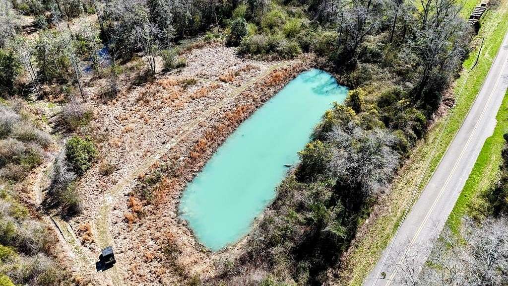 9.1 Acres of Residential Land for Sale in Slocomb, Alabama