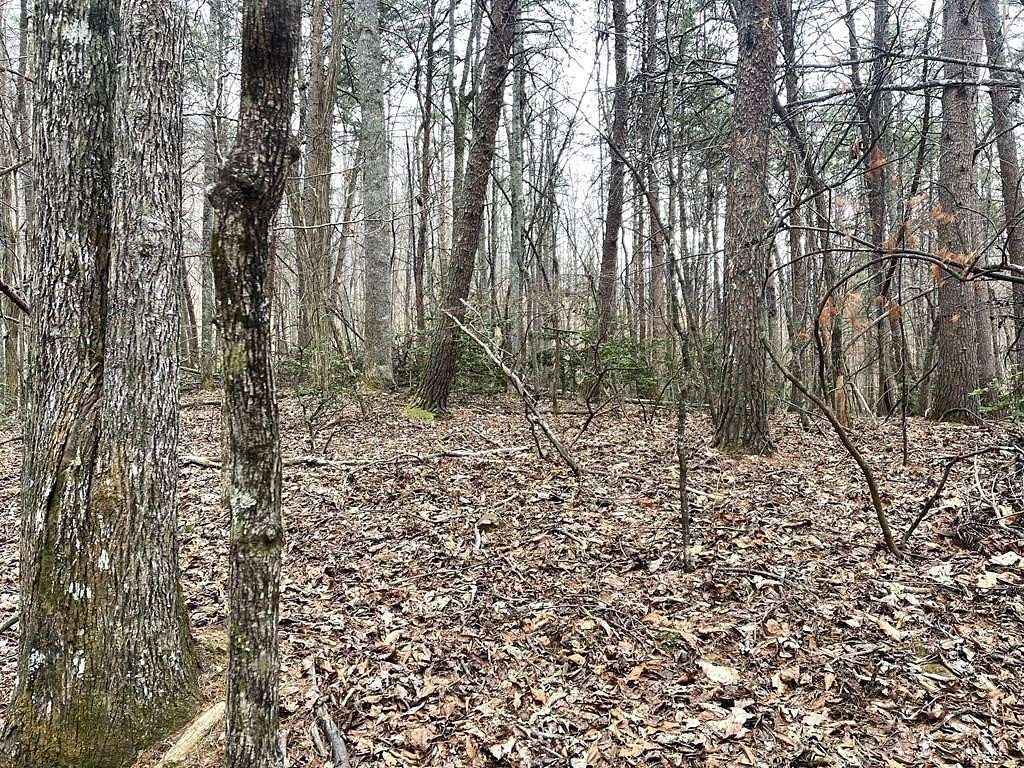 1.5 Acres of Land for Sale in Blairsville, Georgia