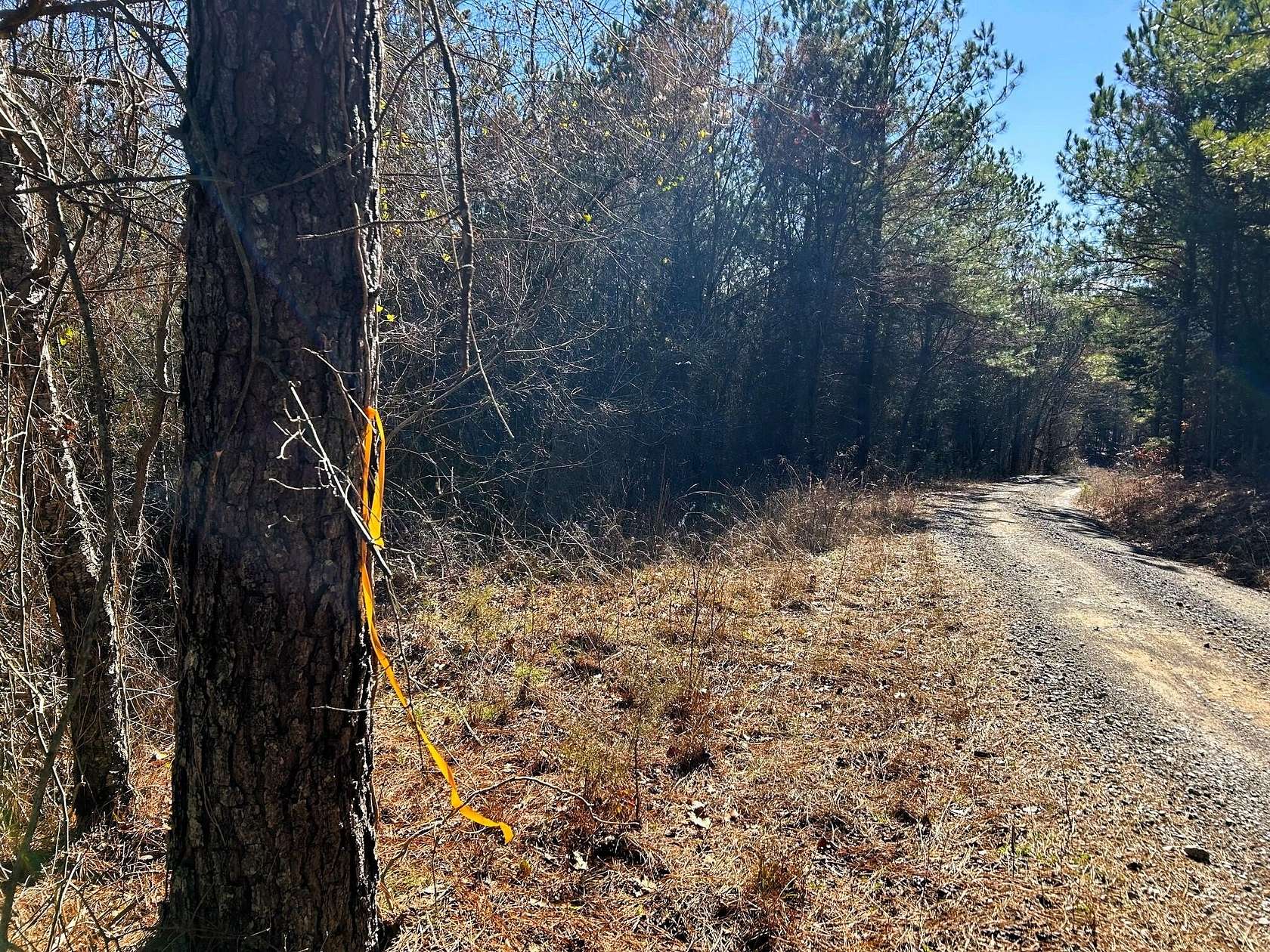 9 Acres of Residential Land for Sale in Decatur, Tennessee