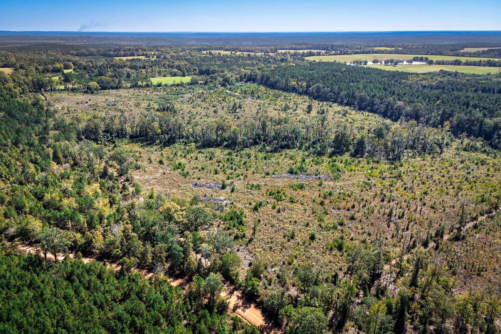 60 Acres of Recreational Land for Sale in Dalark, Arkansas