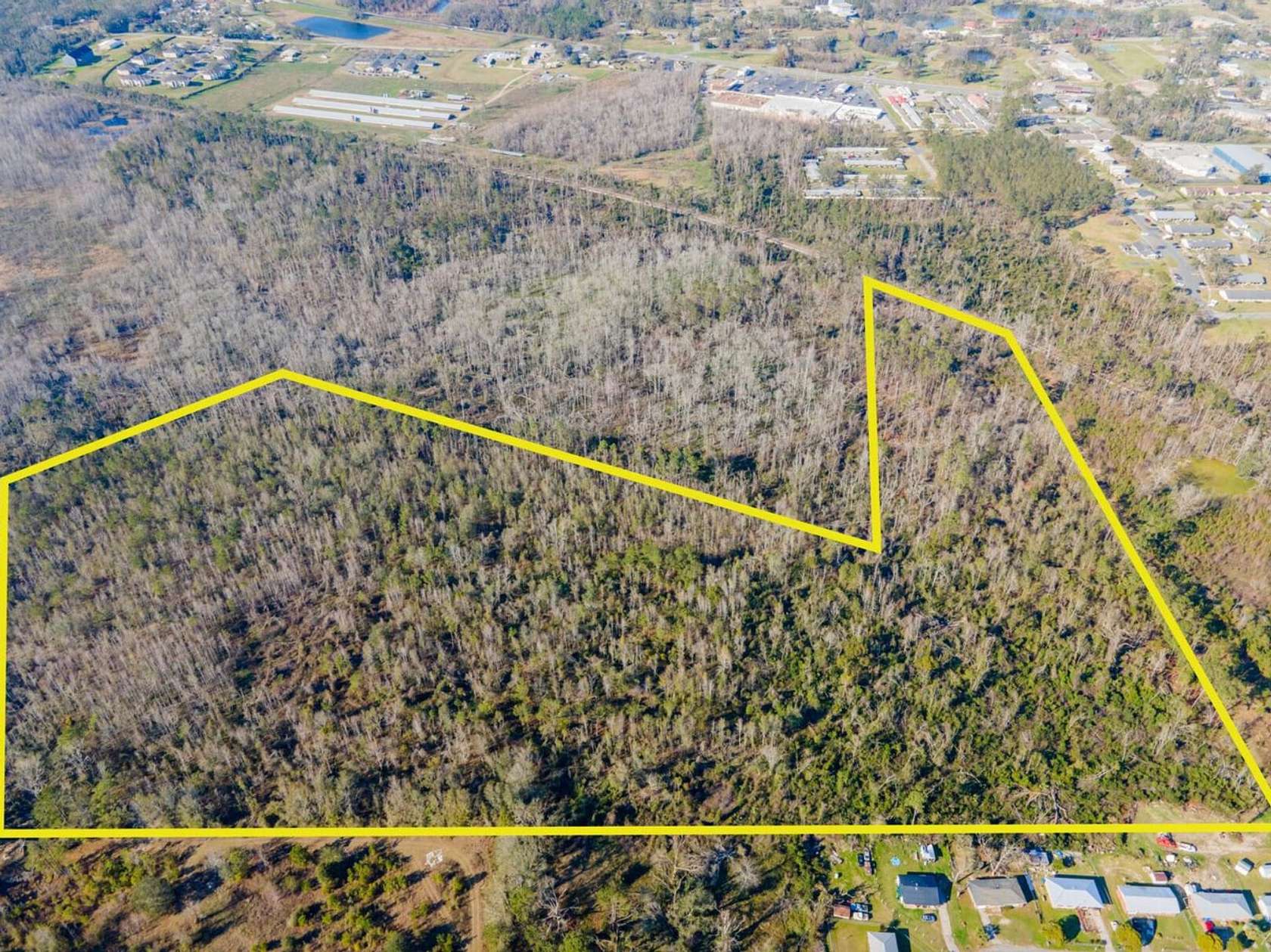 30.7 Acres of Land for Sale in Madison, Florida
