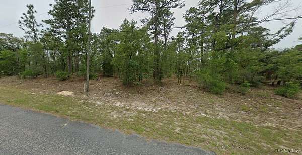 0.23 Acres of Land for Sale in Citrus Springs, Florida