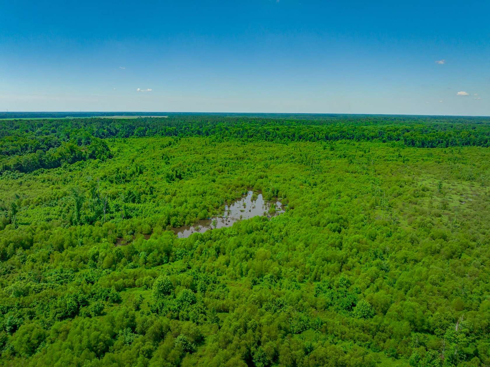 850 Acres of Recreational Land for Sale in Currie, North Carolina