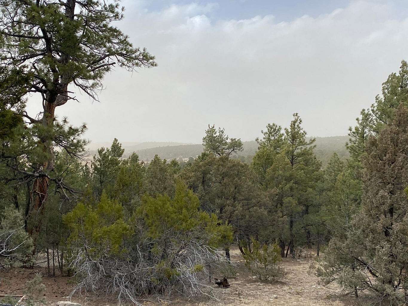 2 Acres of Residential Land for Sale in Edgewood, New Mexico