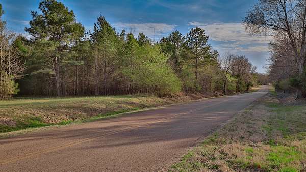 28.4 Acres of Land for Sale in Milan, Tennessee