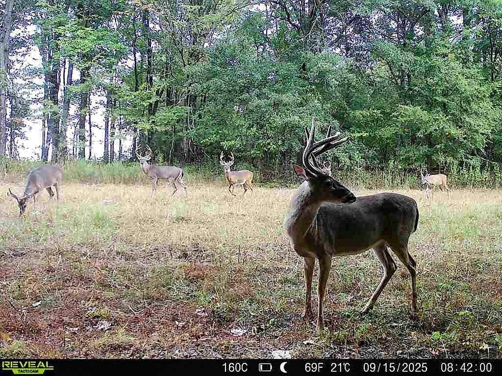 160 Acres of Recreational Land & Farm for Sale in Batesville, Mississippi