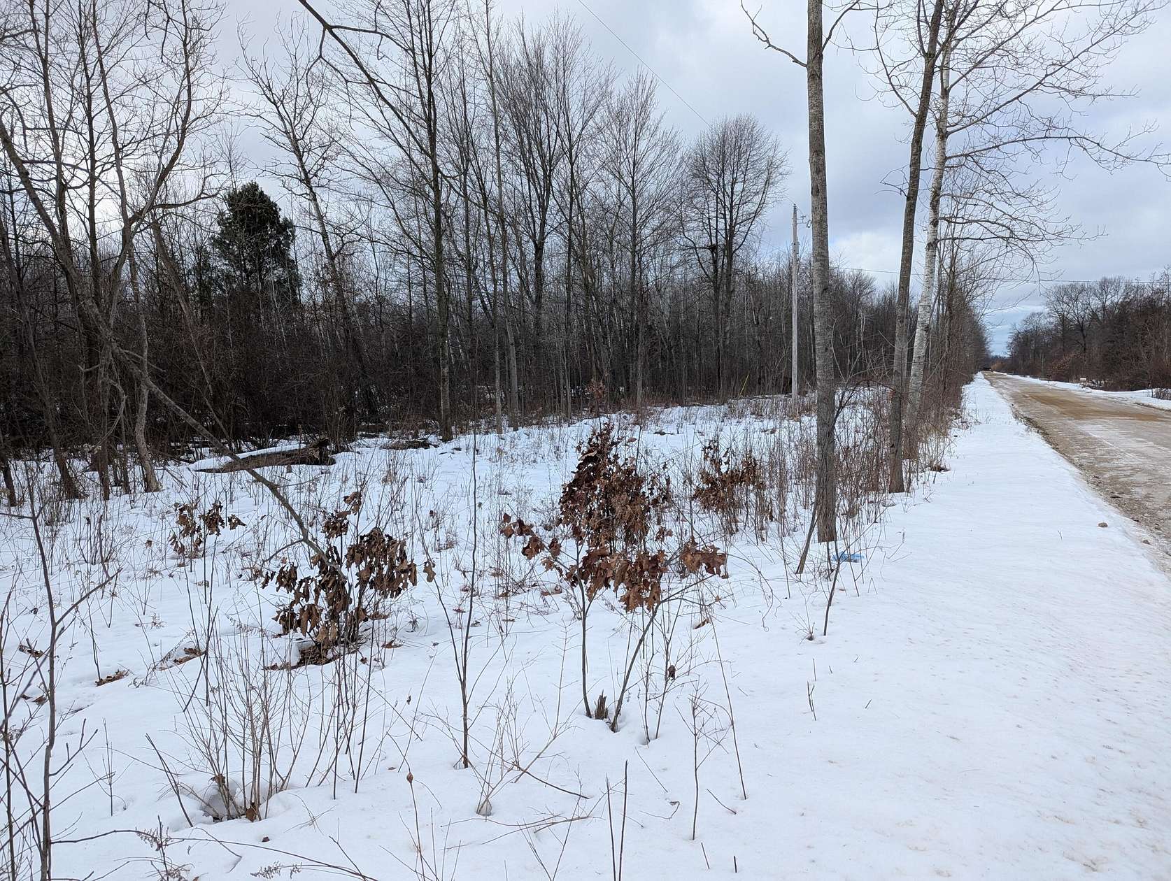 18 Acres of Land for Sale in Pullman, Michigan