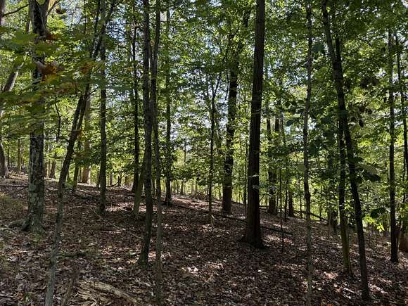 1.65 Acres of Residential Land for Sale in Bremen, Ohio