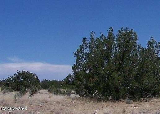 20 Acres of Land for Sale in Heber, Arizona