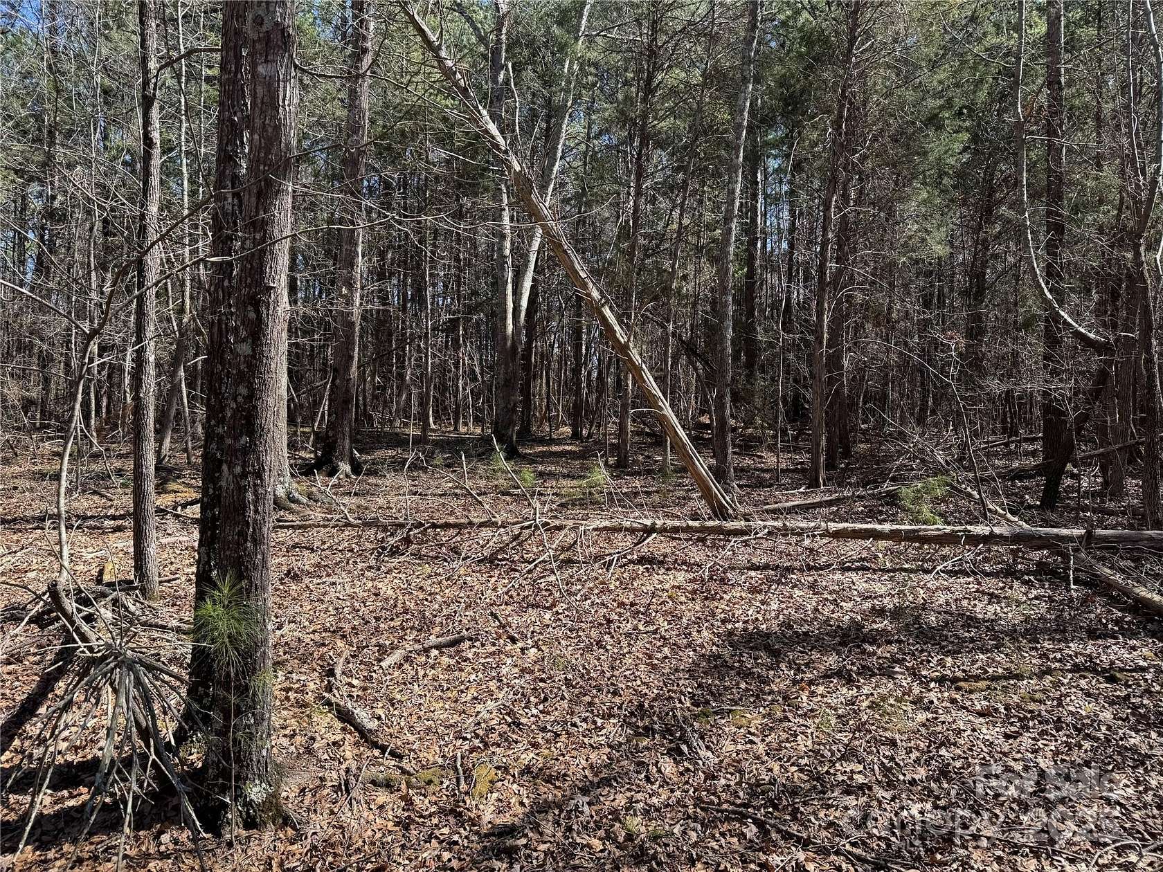 3.35 Acres of Residential Land for Sale in Edgemoor, South Carolina