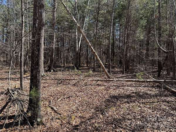3.35 Acres of Residential Land for Sale in Edgemoor, South Carolina