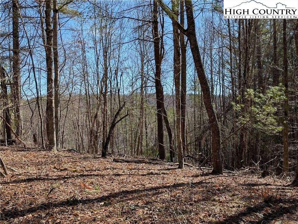 10 Acres of Residential Land for Sale in Crumpler, North Carolina