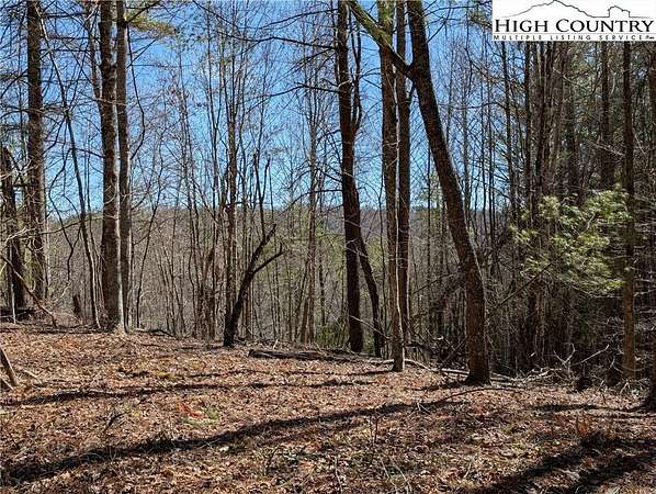 10 Acres of Residential Land for Sale in Crumpler, North Carolina