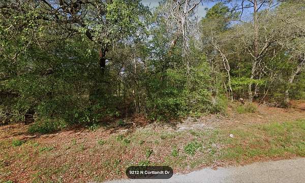 0.23 Acres of Residential Land for Sale in Citrus Springs, Florida