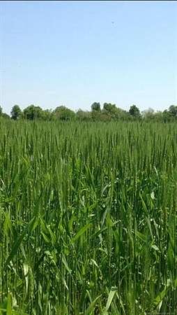 159 Acres of Recreational Land & Farm for Sale in Vinita, Oklahoma