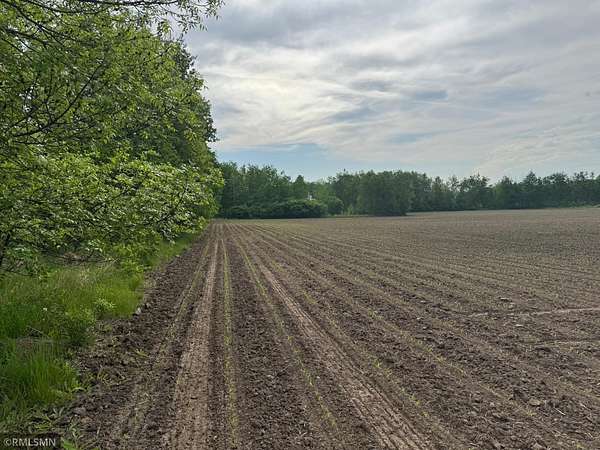 40 Acres of Agricultural & Residential Land for Sale in Mora, Minnesota