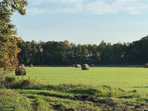 30 Acres of Agricultural Land for Sale in Mora, Minnesota