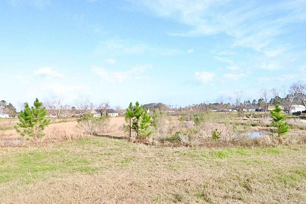 8 Acres of Residential Land for Sale in Lakeland, Georgia