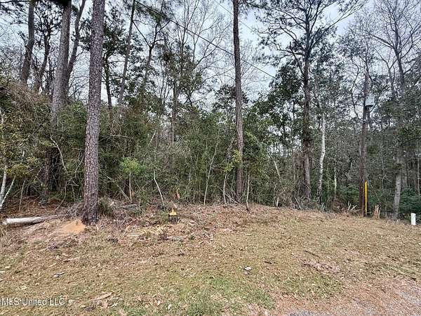 0.17 Acres of Residential Land for Sale in Diamondhead, Mississippi