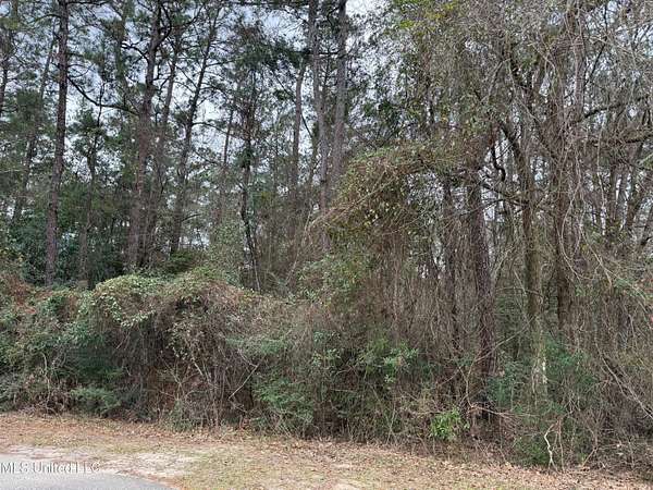 0.16 Acres of Residential Land for Sale in Diamondhead, Mississippi