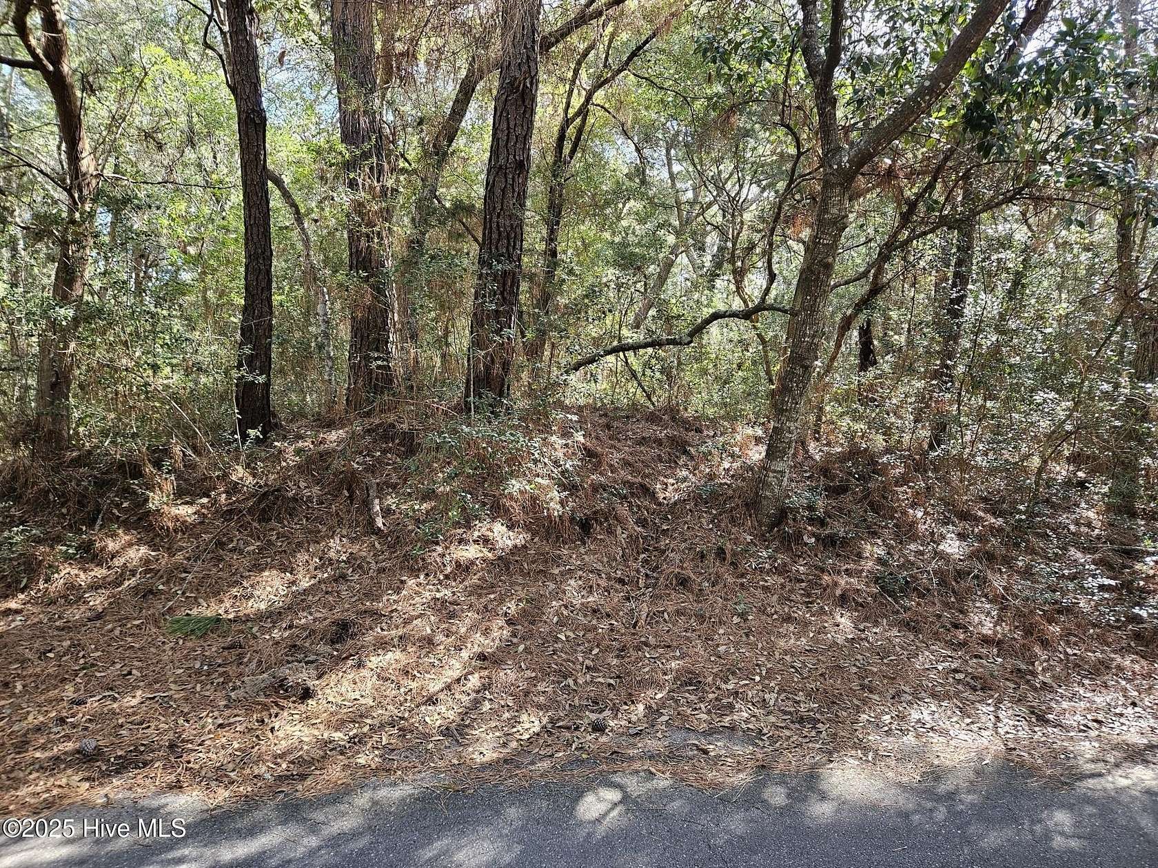 0.31 Acres of Residential Land for Sale in Bald Head Island, North Carolina