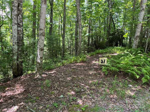 3.36 Acres of Residential Land for Sale in Brevard, North Carolina