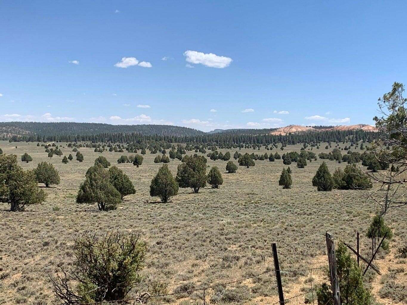 40 Acres of Improved Recreational Land for Sale in Bryce Canyon City, Utah