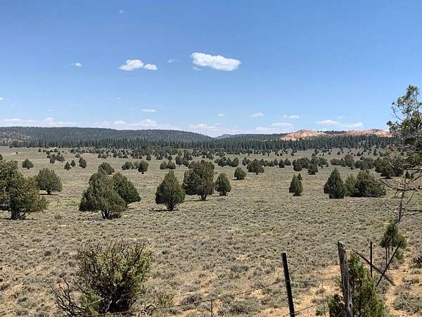 40 Acres of Improved Recreational Land for Sale in Bryce Canyon City, Utah