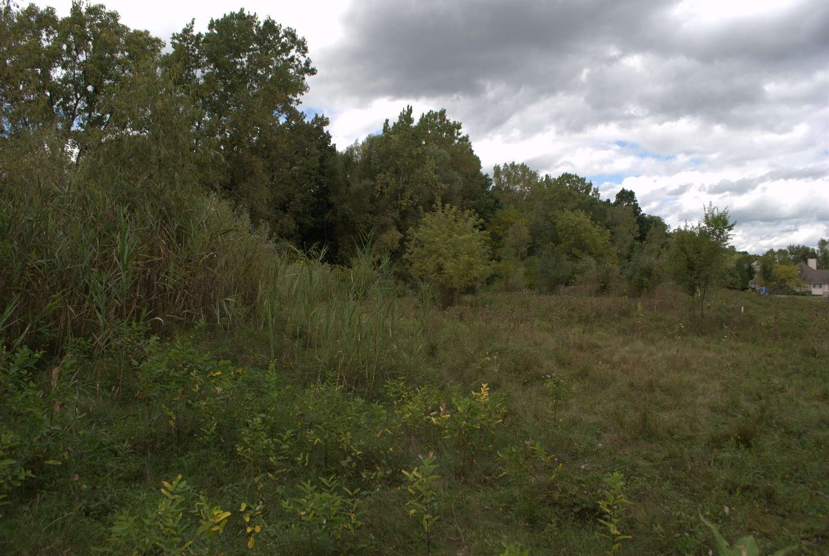 2.69 Acres of Residential Land for Sale in Dexter, Michigan