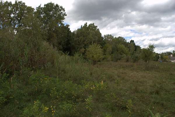 2.69 Acres of Residential Land for Sale in Dexter, Michigan