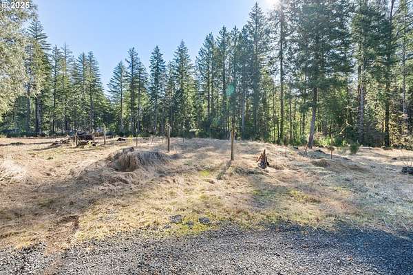 1 Acre of Residential Land for Sale in Blue River, Oregon