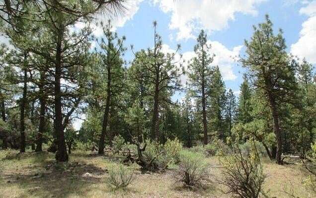 1.2 Acres of Residential Land for Sale in Chiloquin, Oregon