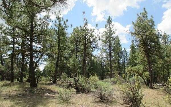 1.2 Acres of Residential Land for Sale in Chiloquin, Oregon