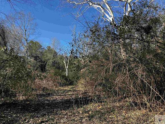 1 Acre of Land for Sale in Maud, Texas