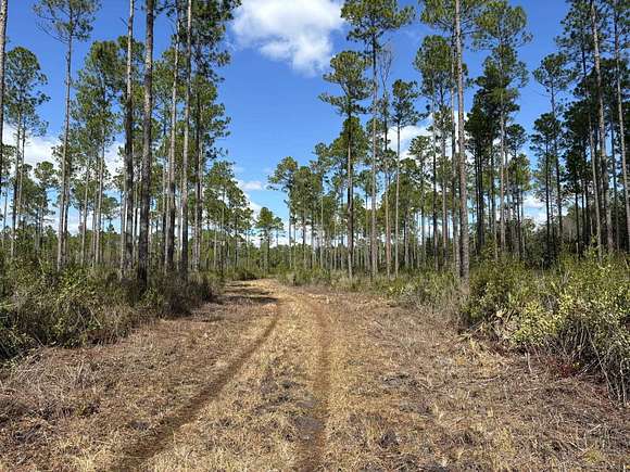 182 Acres of Recreational Land for Sale in Quincy, Florida