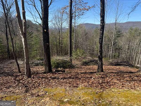 2.49 Acres of Land for Sale in Hayesville, North Carolina