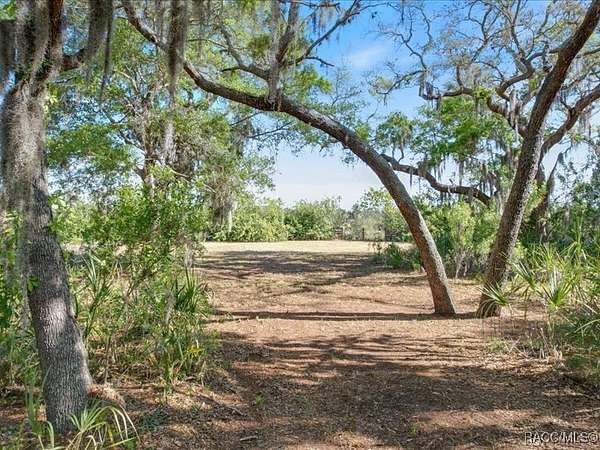 1 Acre of Residential Land for Sale in Crystal River, Florida